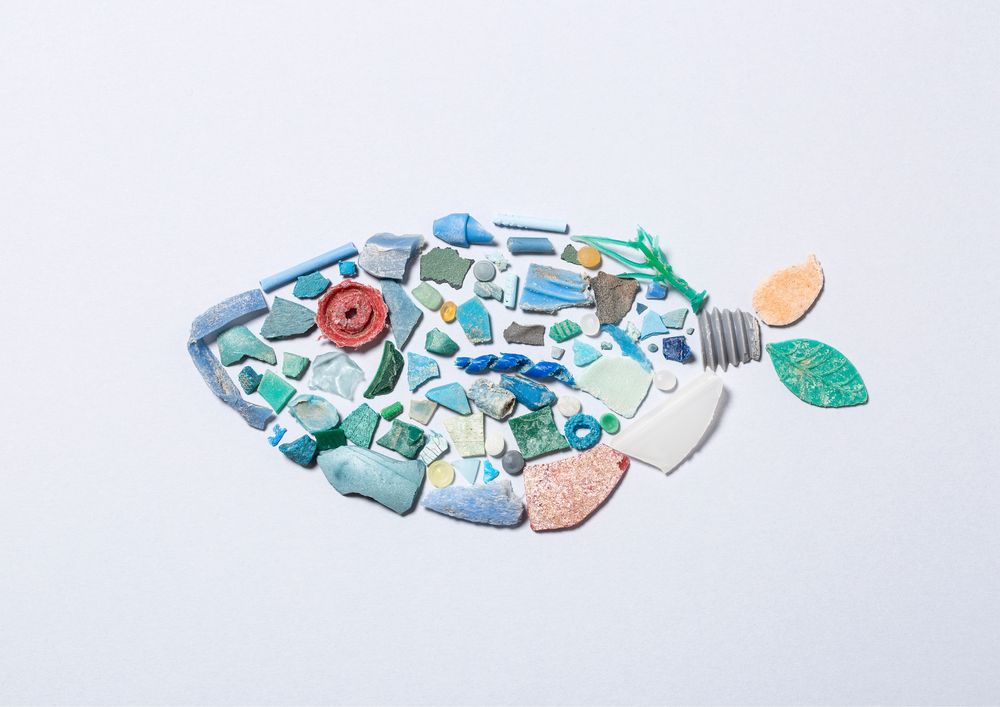 Microplastiques dans nos océans : comment cela affecte-t-il les poissons et notre alimentation ?