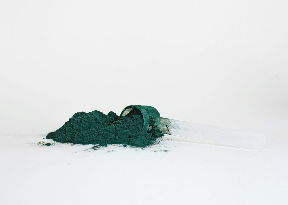 spiruline-poudre