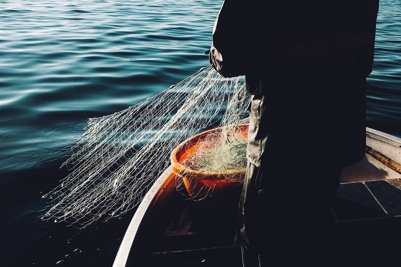 Quels poissons consommer sans menacer les stocks ?