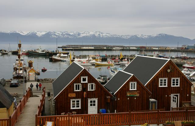 L’Islande, le berceau de l'huile de foie de morue