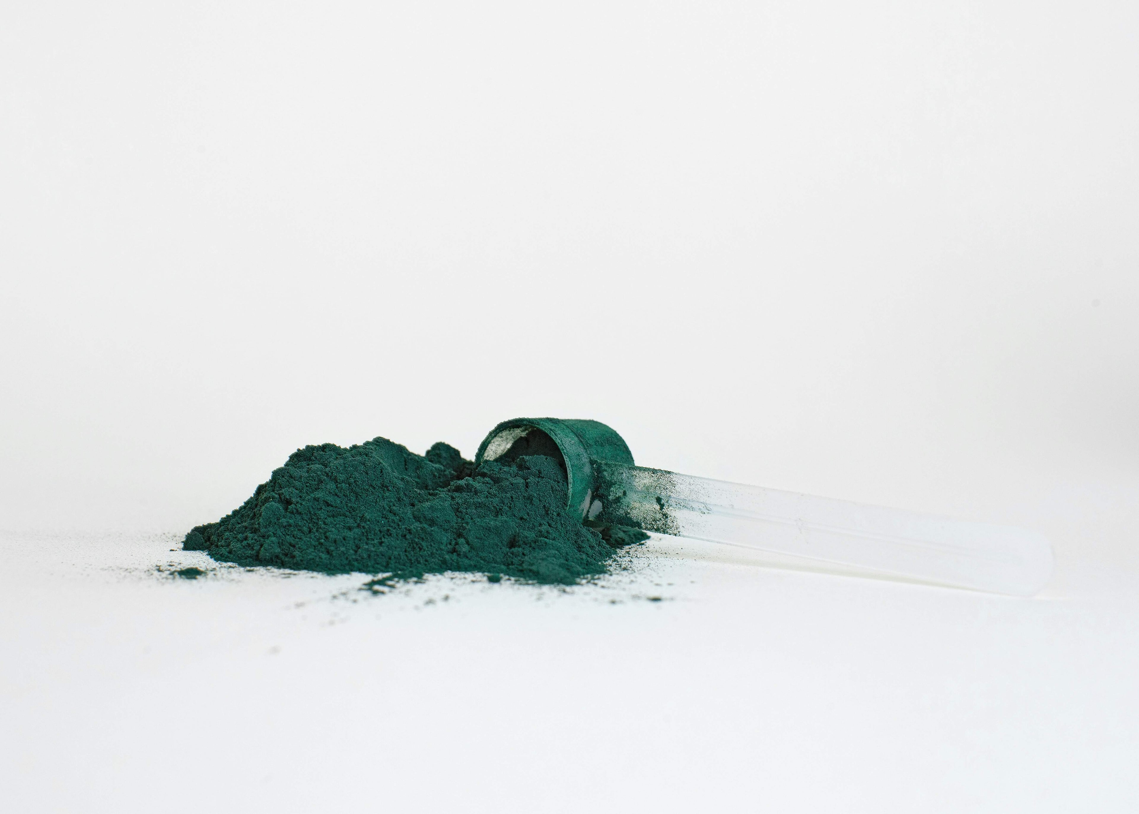 spiruline-poudre