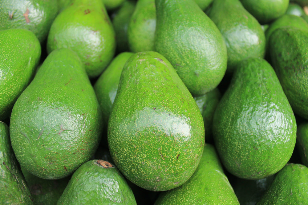 La vitamine E, définition et vertus
