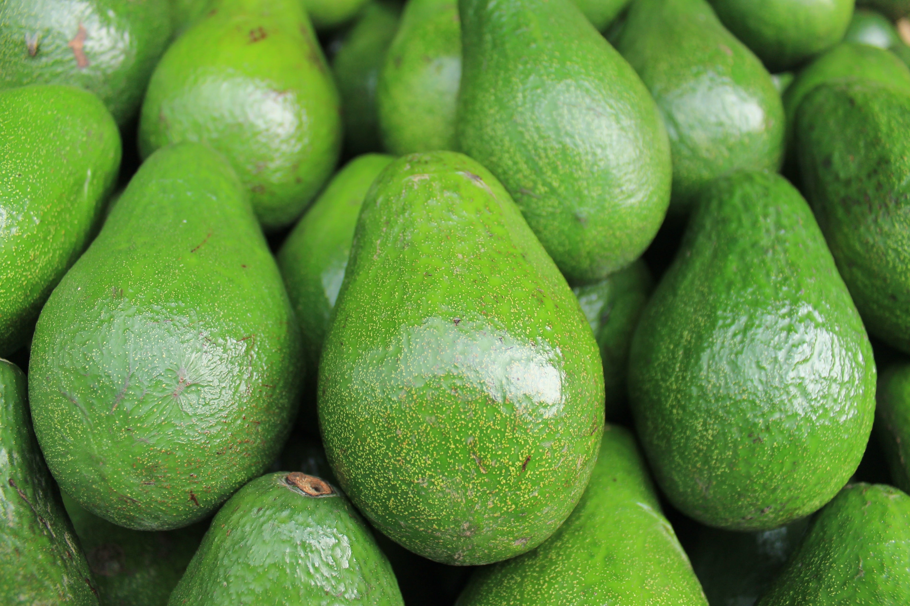 La vitamine E, définition et vertus