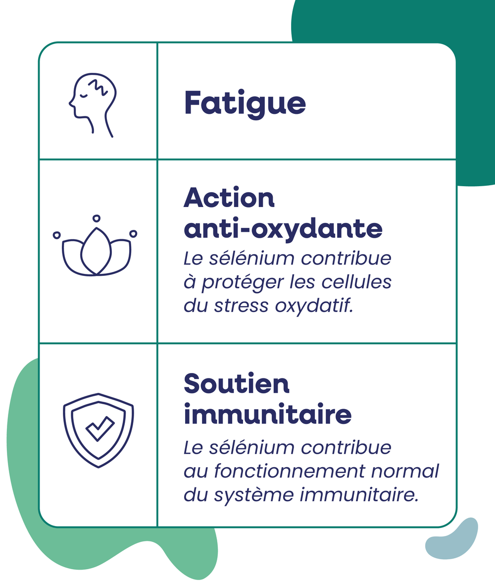 Phycocyanine 50 - concentrée