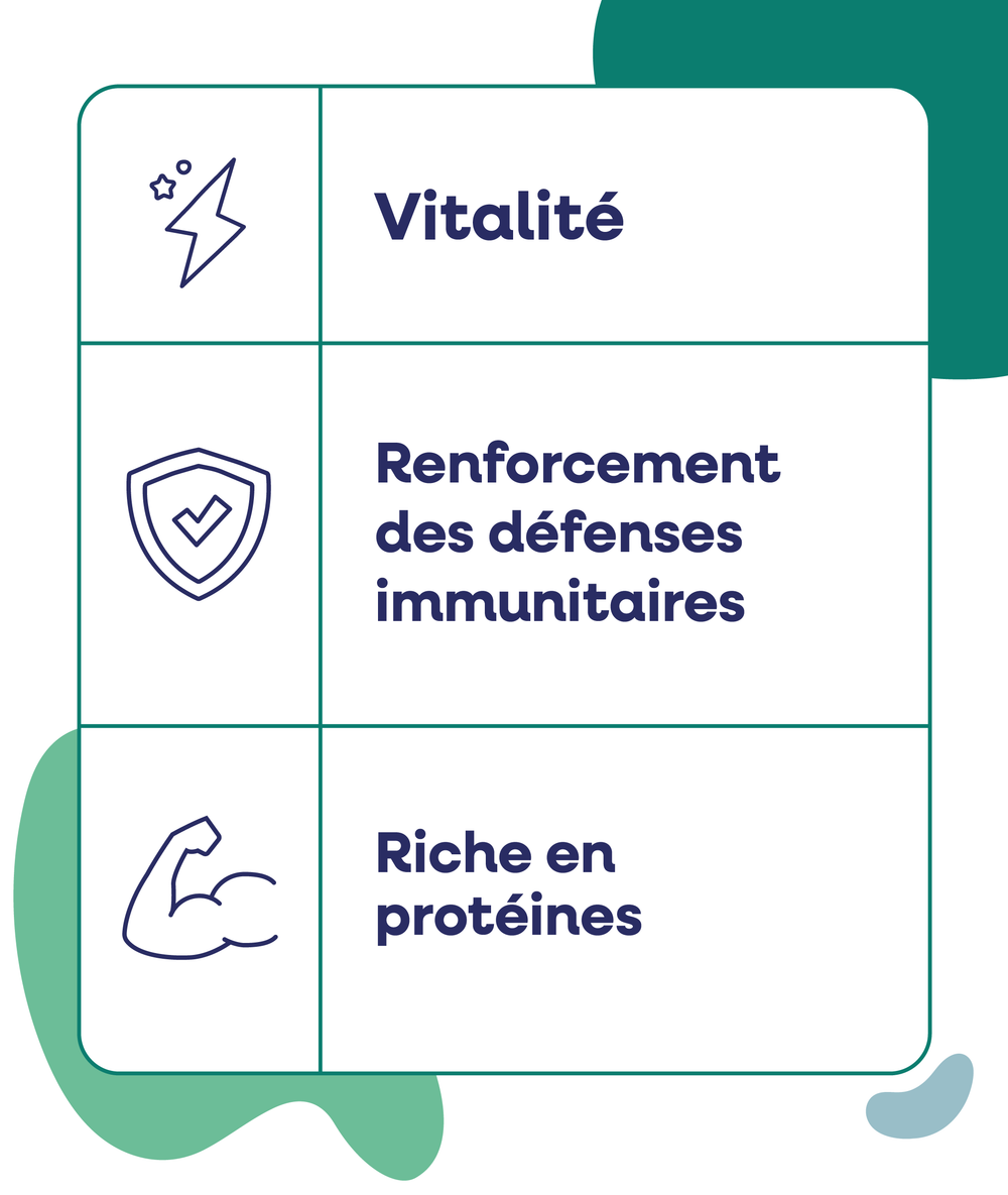 Spiruline en comprimés - Origine France